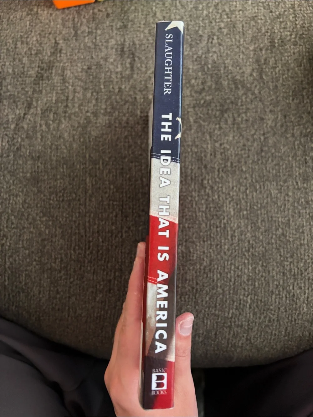 The idea that is america book by anne marie slaughter